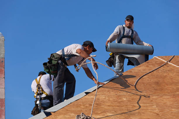 Best Sealant for Roof  in Crescent City, FL